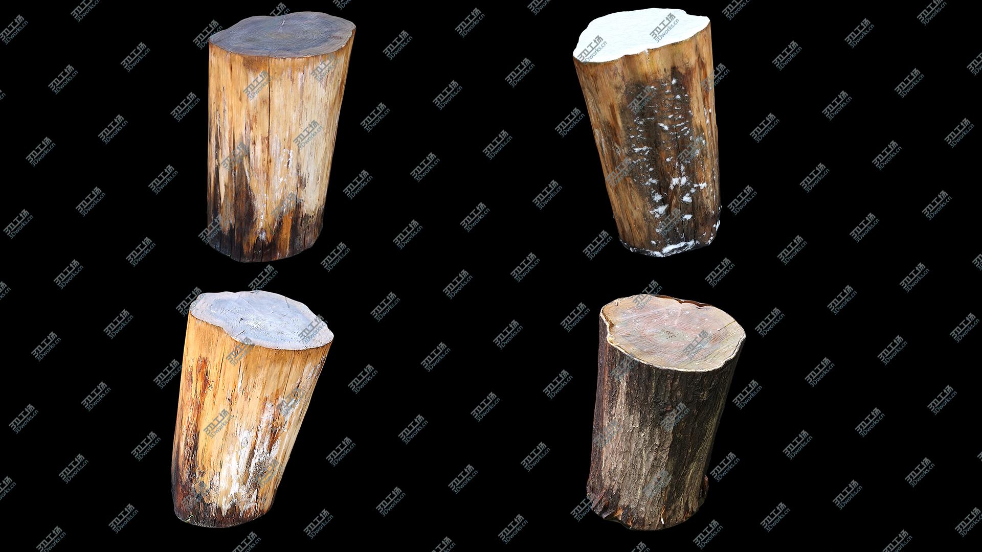 images/goods_img/20210319/Tree Stump Collection 06 3D model/2.jpg